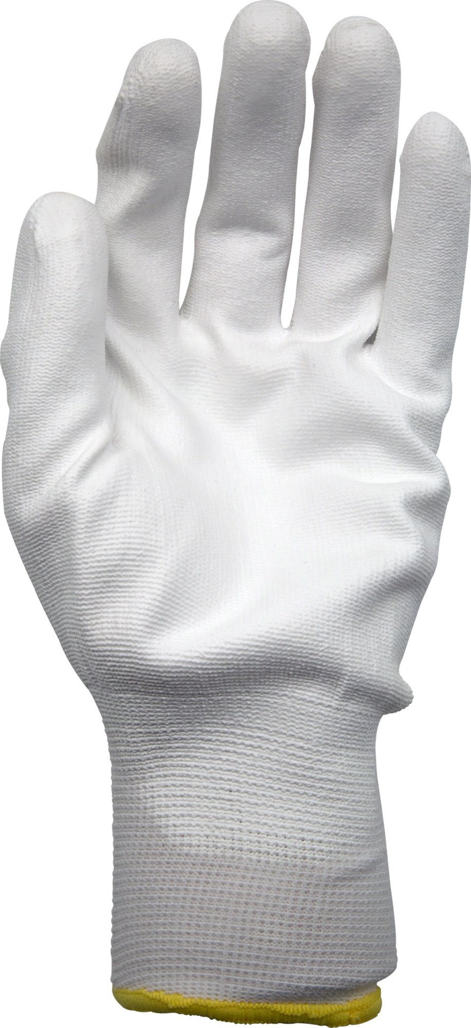 Painter's Gloves